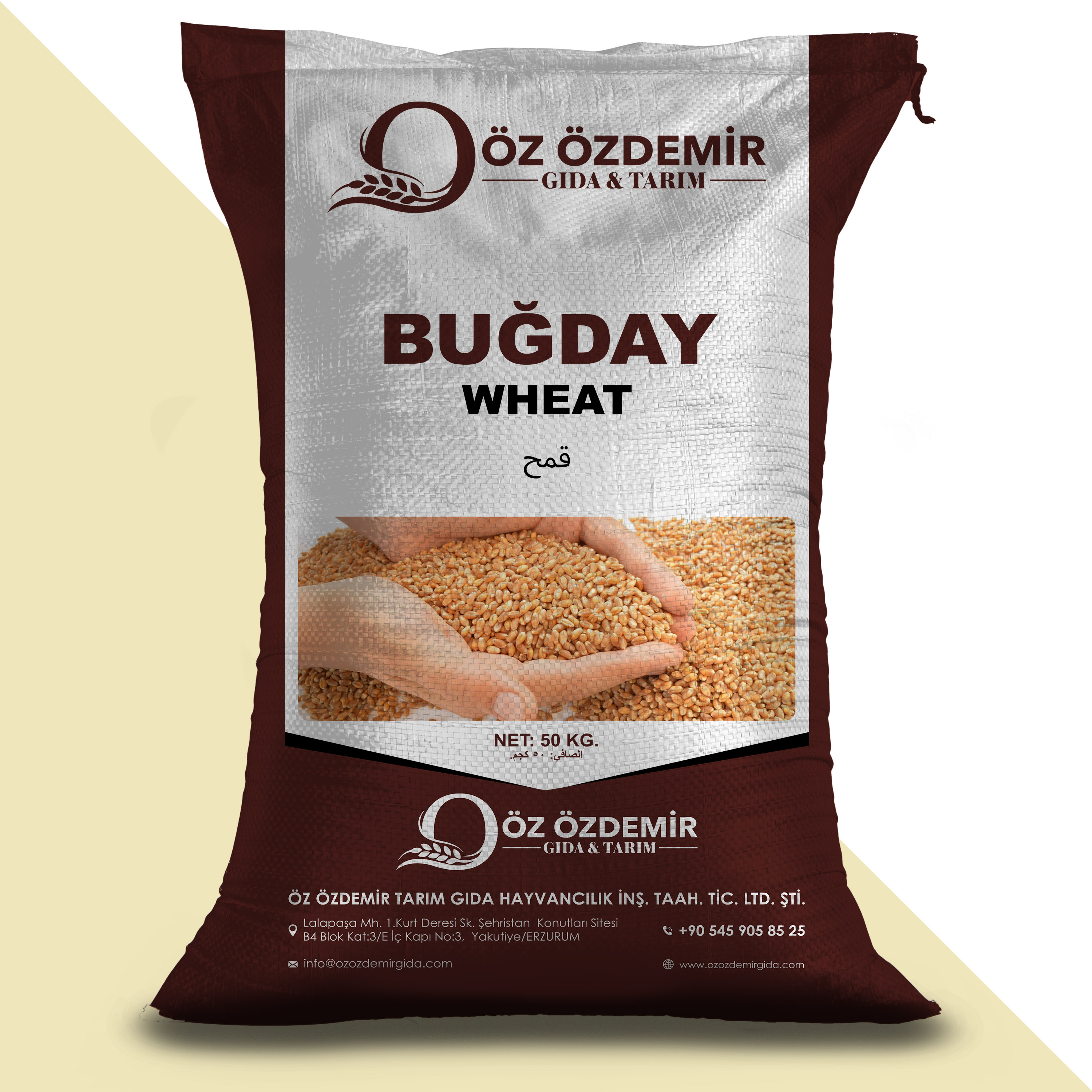 Buğday